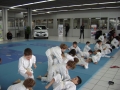 DSC03786.JPG