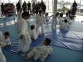 DSC03800.JPG