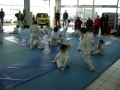 DSC03801.JPG
