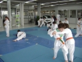 DSC03808.JPG