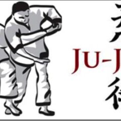 stage jujitsu à Dirinon le lundi 5 novembre