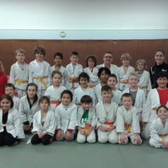 Handisport Cornouaille Quimper au judo