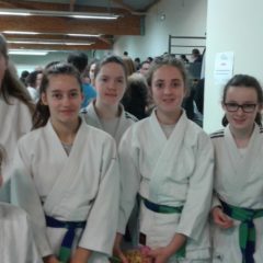 Championnat du Finistère Minimes: 3 Titres