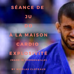 Visio Judo en direct et Masterclass