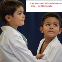 Les mercredis matin  d’Aout au dojo