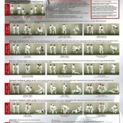 Inscription Katas ( UV1) , UV2  obligatoire avant le samedi 26 juin pour les cadets (2006-05-04), juniors (-18 ans)