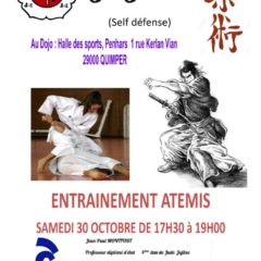 Entrainement jujitsu/self defense le samedi 30 octobre ouvert a tous les licenciés (+13 ans)