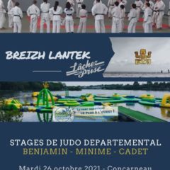 Stage départemental Benjamin(2011-10), Minime(2008-09), Cadet (2007-06-05)