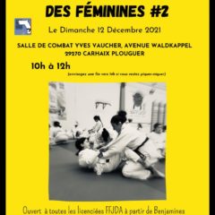 STAGE DE PERFECTIONNEMENT SPORTIF DES FEMININES dimanche 12 décembre Carhaix
