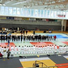 Championnat du Finistère Minimes: 8 combattants=8 podiums