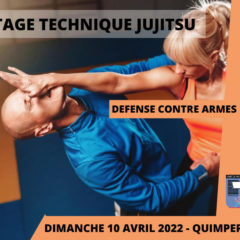 Stage technique jujitsu – défense contre armes