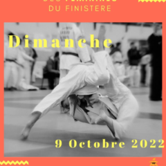 STAGE DE PERFECTIONNEMENT SPORTIF DES FEMININES dimanche 9 Octobre Quimper (pour les 2012 et avant)