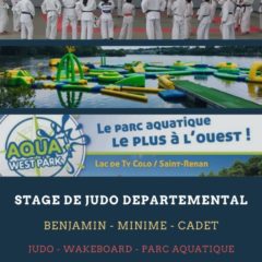 Stage départemental le lundi 31 octobre Benjamin(2011-12), Minime(2010-09), Cadet (2008-07-06)