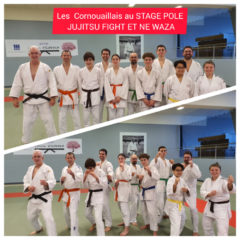 Stage Jujitsu