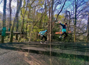 « Trampoforest » pour les 2016 à 2019