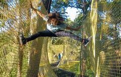 « Trampoforest » pour les 2015 à 2018
