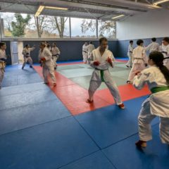 STAGE DEPARTEMENTAL DE JUJITSU A QUIMPER