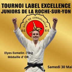 Tournoi Label Excellence Juniors de LA ROCHE SUR YON