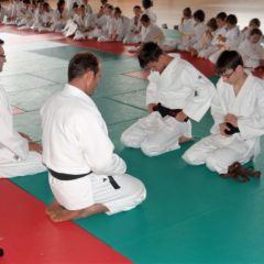 Servan Metais et Marius Mesnil:ceinture noire