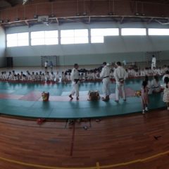 Passage de Grades 2017