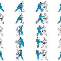Stage  ju-jitsu à Pluguffan mardi 9 janvier