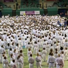 Entrainement de masse Avril