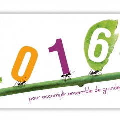 Meilleurs voeux 2016