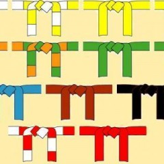 Passage de Grades intermediaires pour l’ecole de judo de Quimper (Kagami biraki : la cérémonie des voeux)