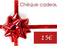 Les chèques « petit sportif » reduction de 15€ pour les « CP-CM2 »